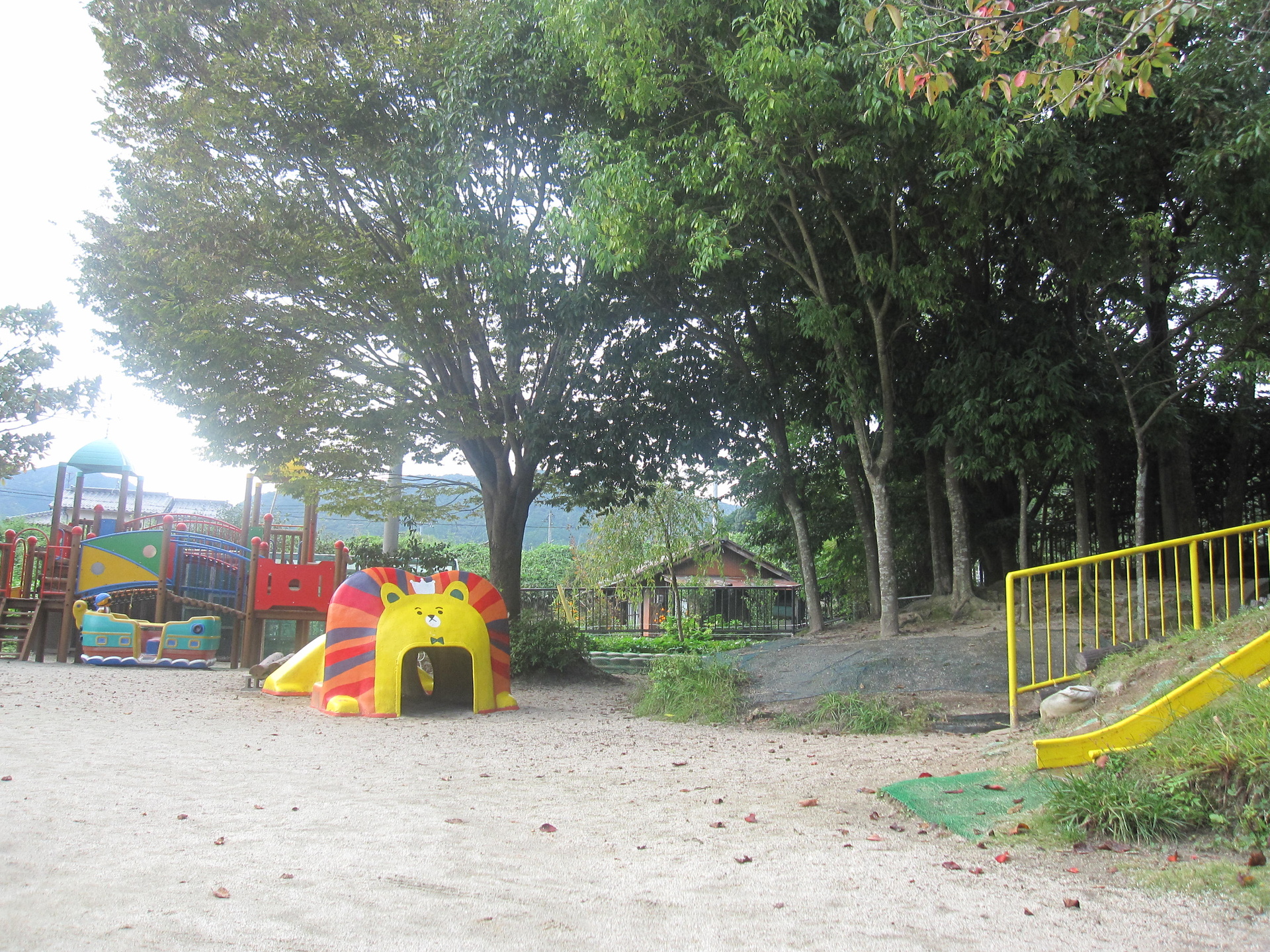 日照幼稚園 園庭4