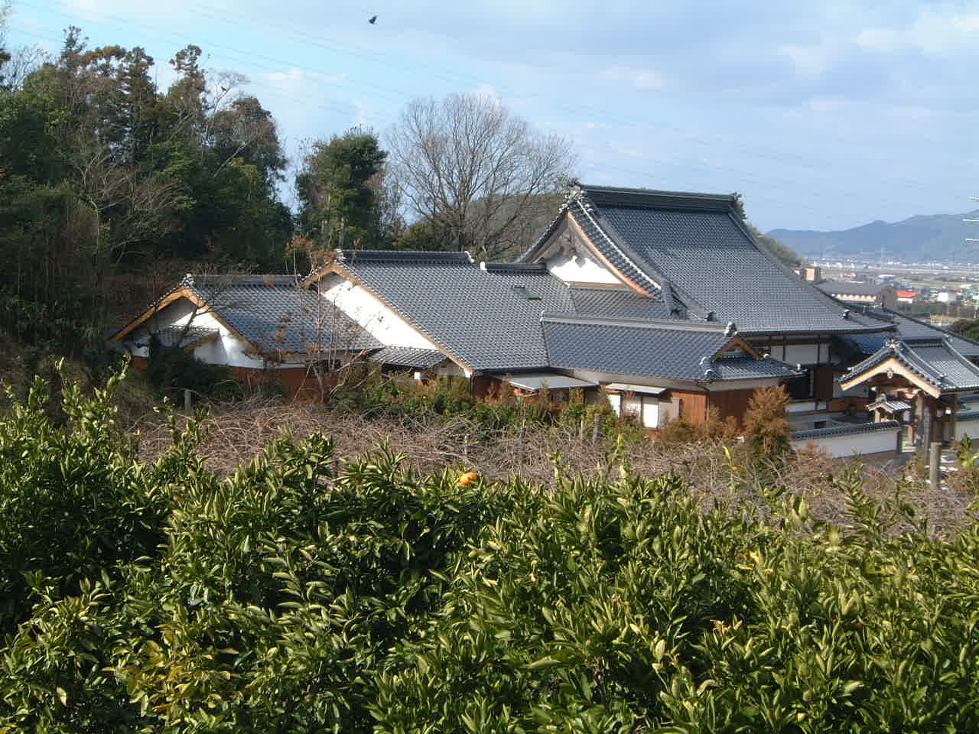 吸江寺 位牌堂3